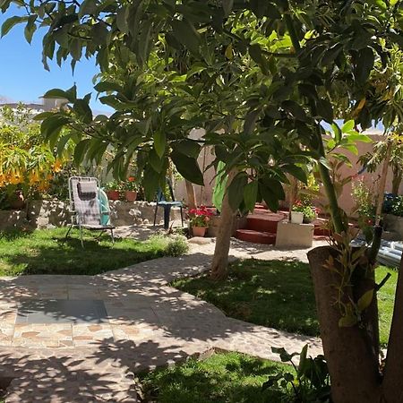 Las Palmeras Eco Hostel Cabanaconde Kültér fotó