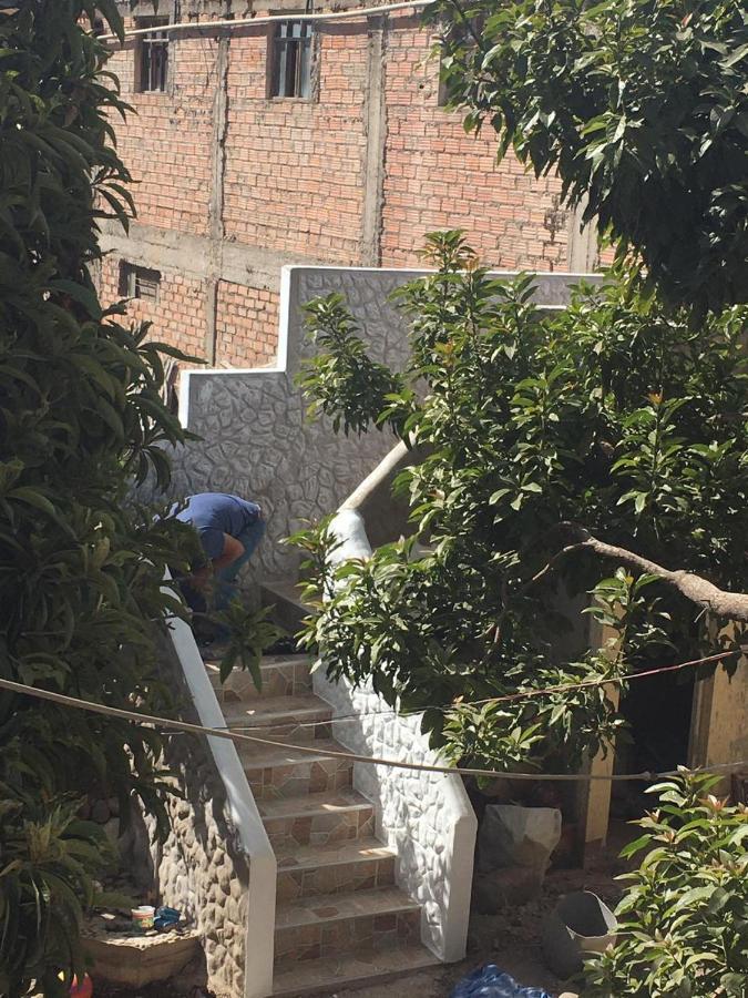 Las Palmeras Eco Hostel Cabanaconde Kültér fotó
