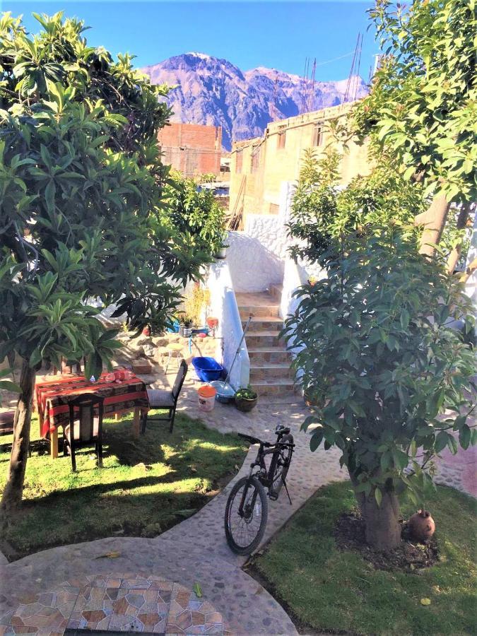 Las Palmeras Eco Hostel Cabanaconde Kültér fotó